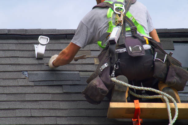 Best Roof Gutter Cleaning  in Brooktrails, CA