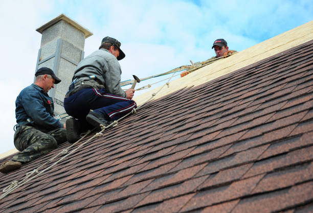 Best Roof Maintenance Services  in Brooktrails, CA